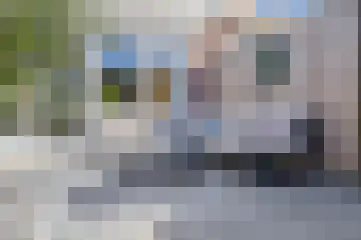 Lumeyweg 7 Brielle thumbnail 30