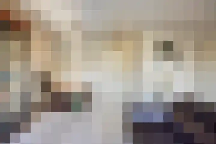 Lunet 47 Veldhoven thumbnail 13