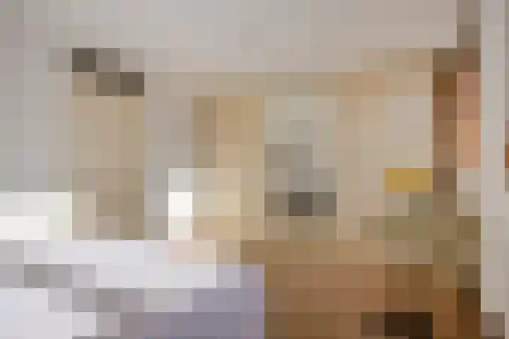Lunet 47 Veldhoven thumbnail 20