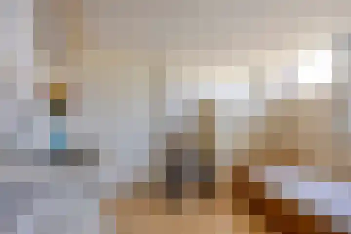 Lunet 47 Veldhoven thumbnail 26