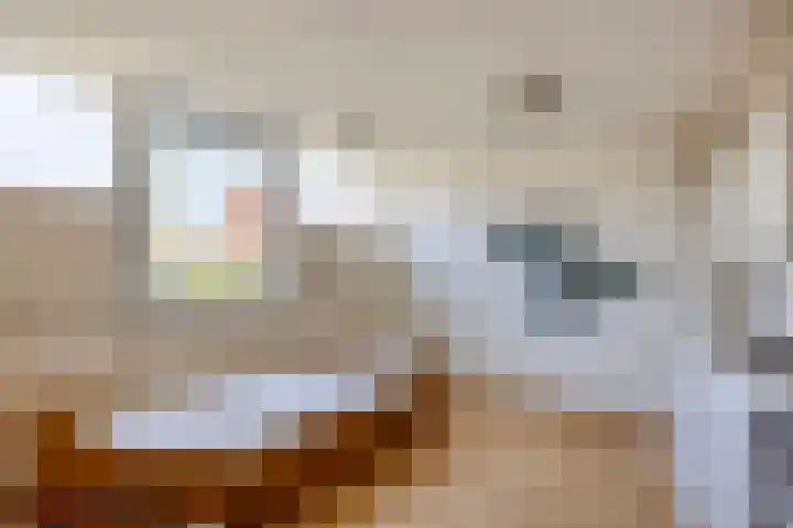 Lunet 47 Veldhoven thumbnail 28