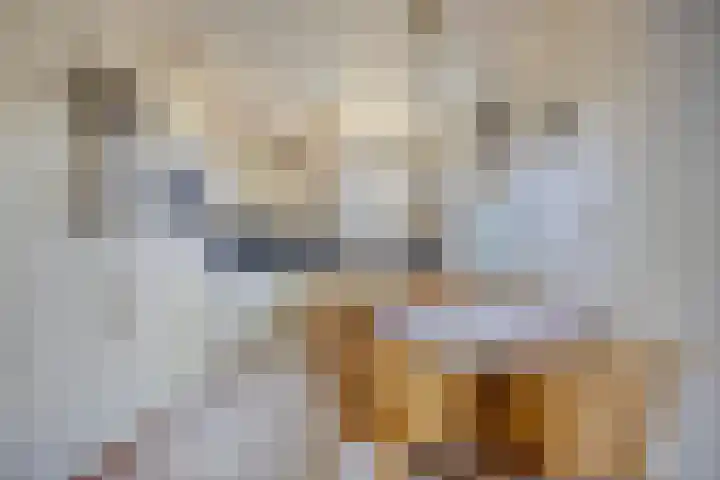 Lunet 47 Veldhoven thumbnail 4