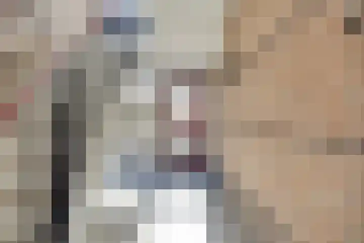 Lunet 47 Veldhoven thumbnail 8