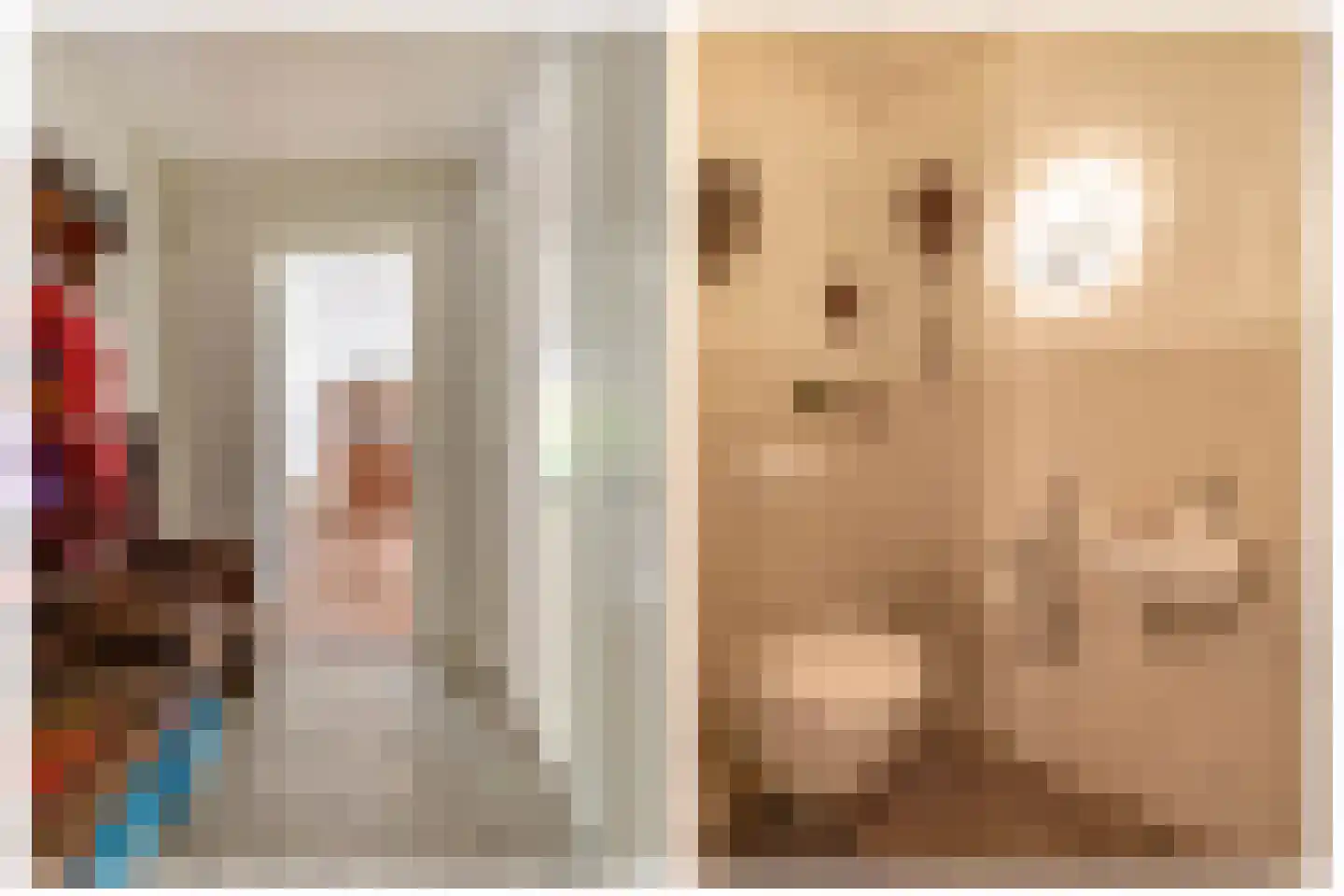 Lupine 13 Eersel thumbnail 10