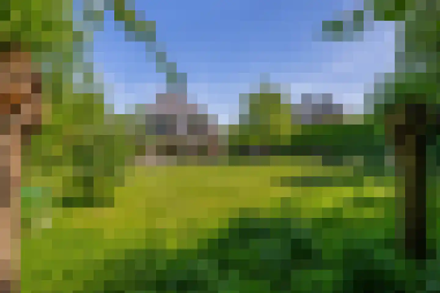Lupine 13 Eersel thumbnail 46