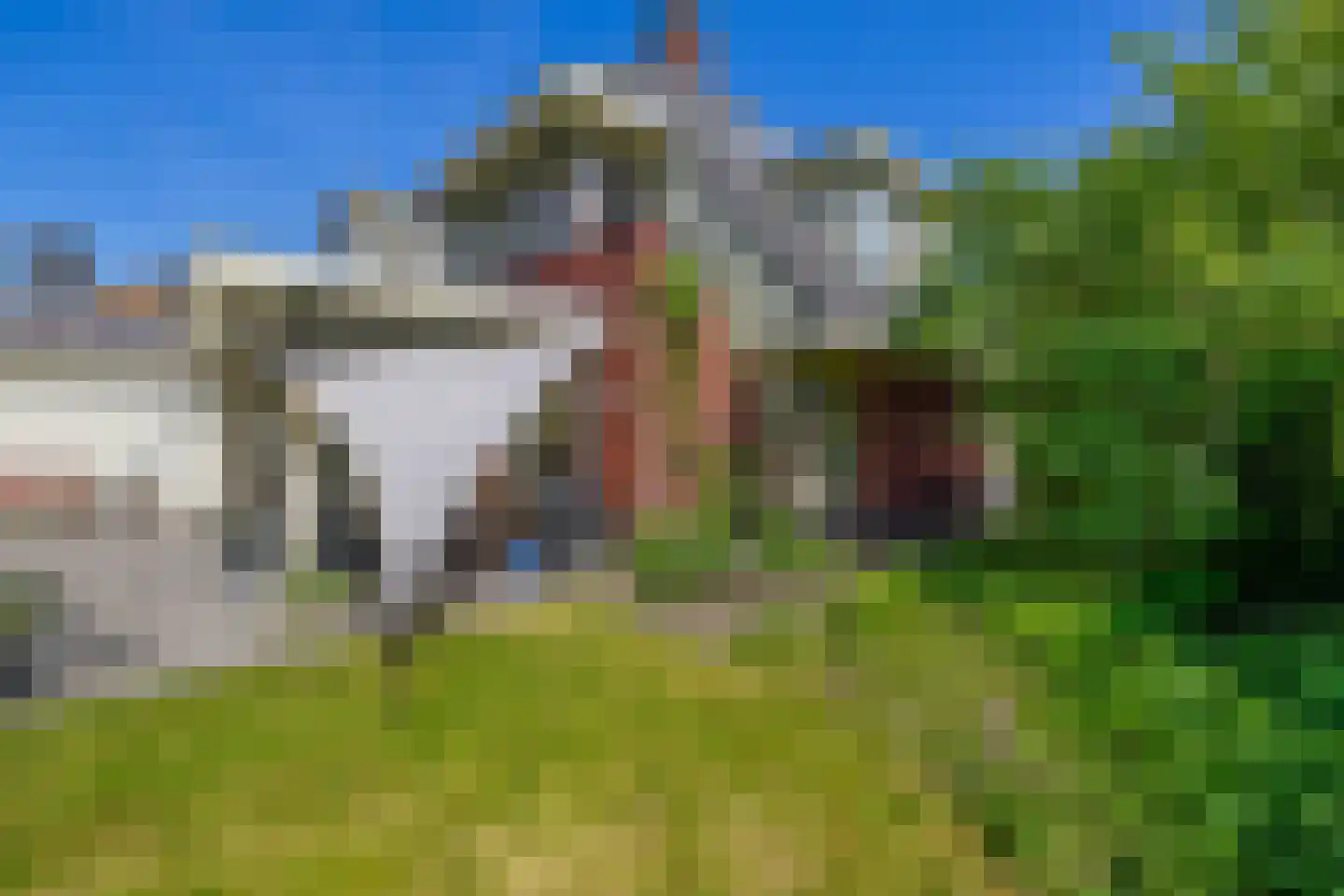 Lupine 13 Eersel thumbnail 47