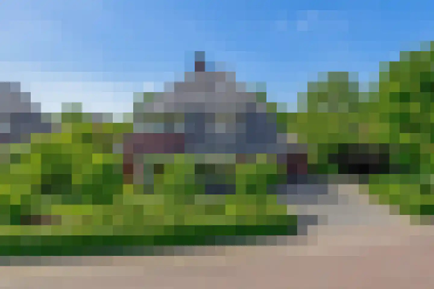 Lupine 13 Eersel thumbnail 5