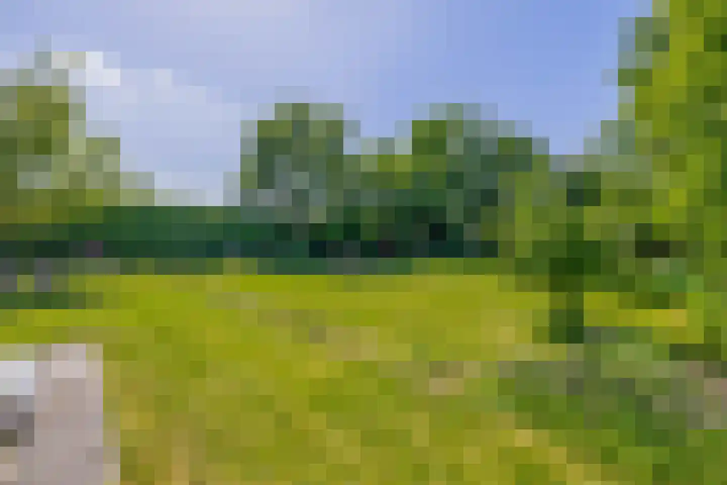 Lupine 13 Eersel thumbnail 52