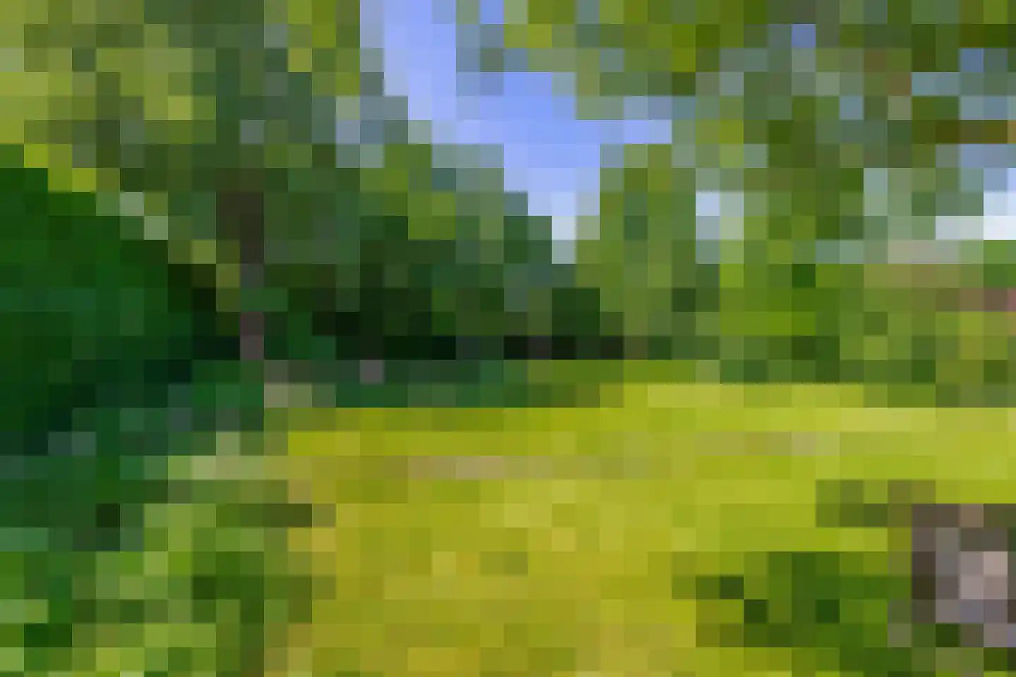 Lupine 13 Eersel thumbnail 53