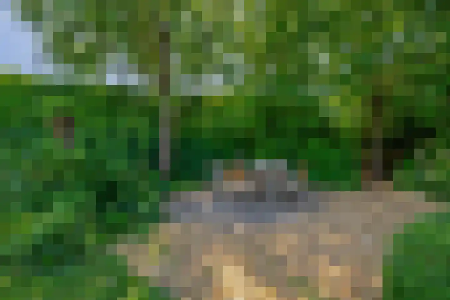 Lupine 13 Eersel thumbnail 55