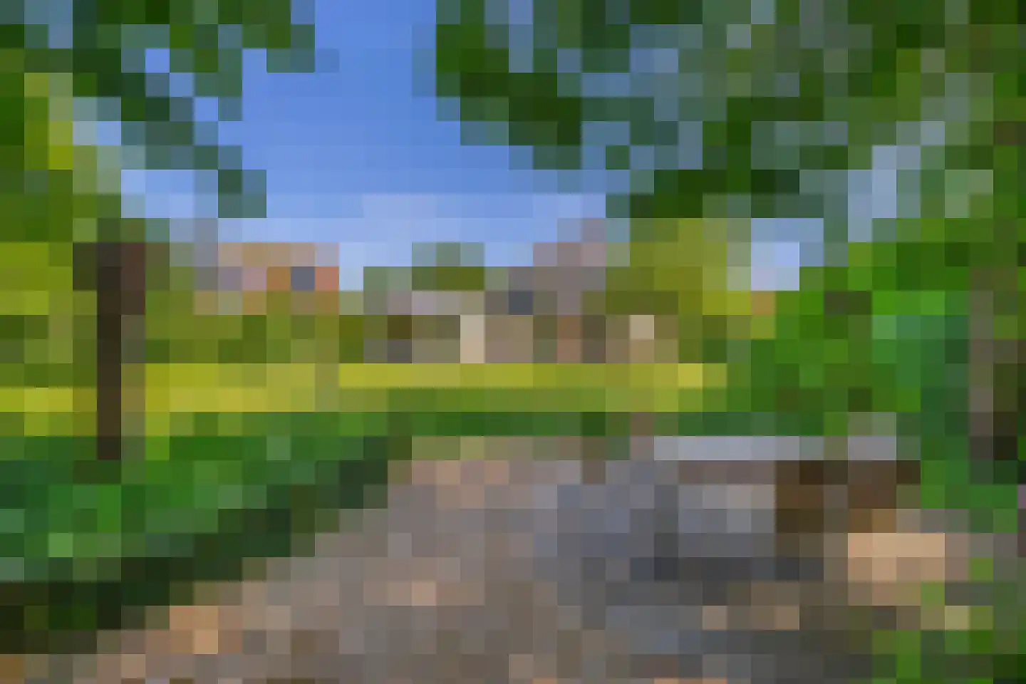 Lupine 13 Eersel thumbnail 56