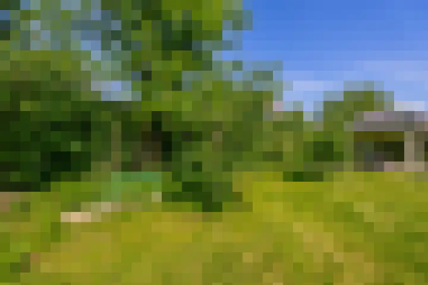 Lupine 13 Eersel thumbnail 58