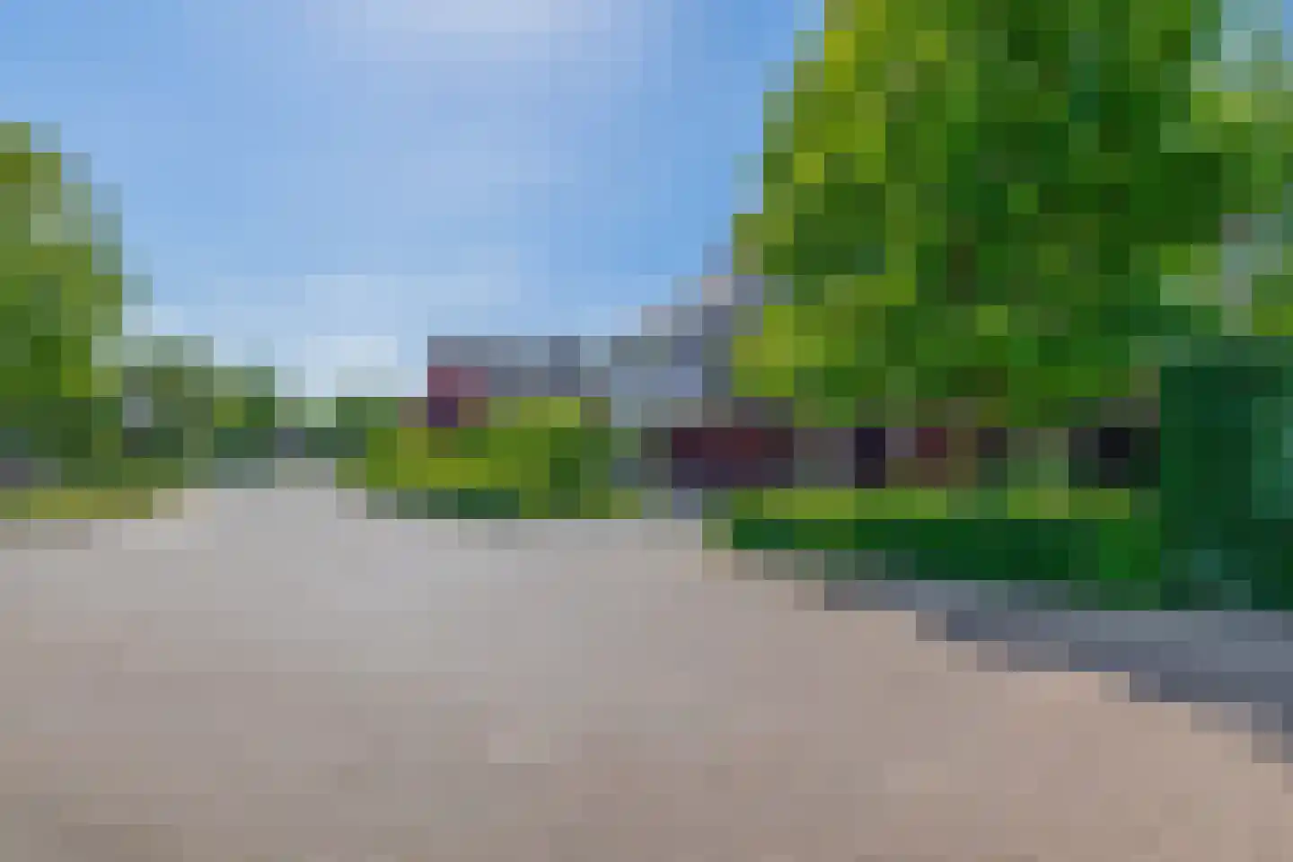 Lupine 13 Eersel thumbnail 66