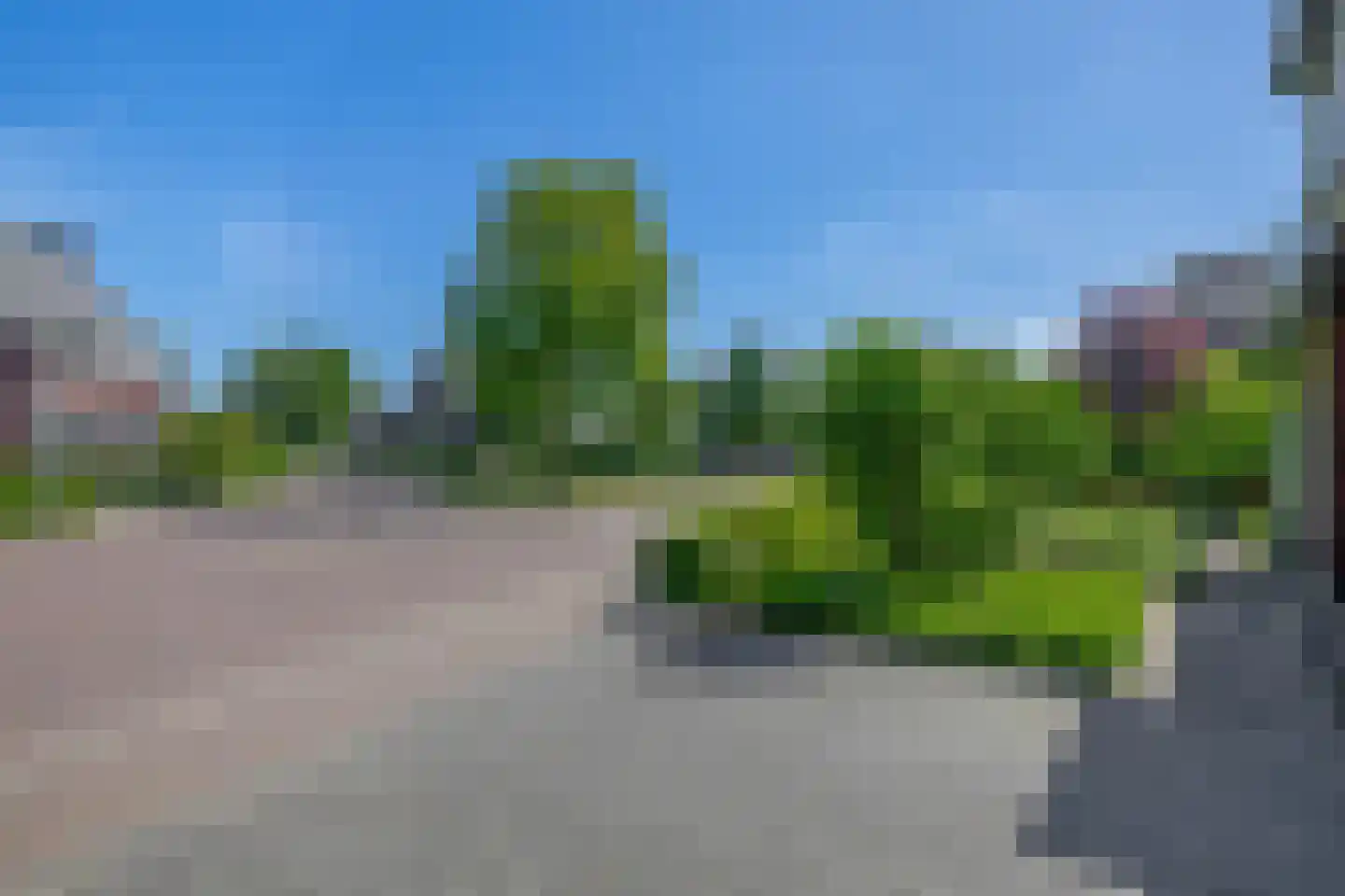 Lupine 13 Eersel thumbnail 67