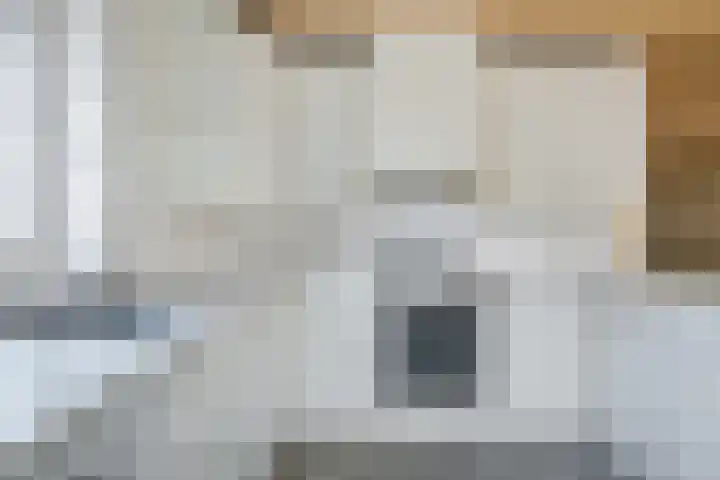 Lupine 6 Eersel thumbnail 12