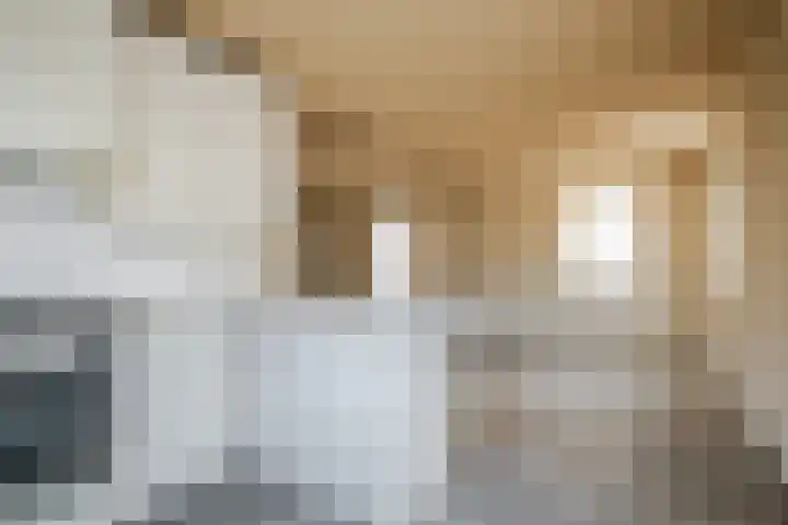 Lupine 6 Eersel thumbnail 13