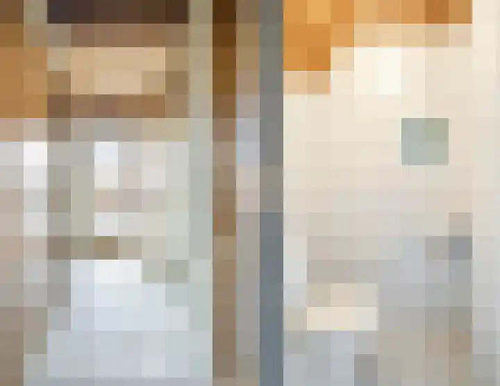 Lupine 6 Eersel thumbnail 14