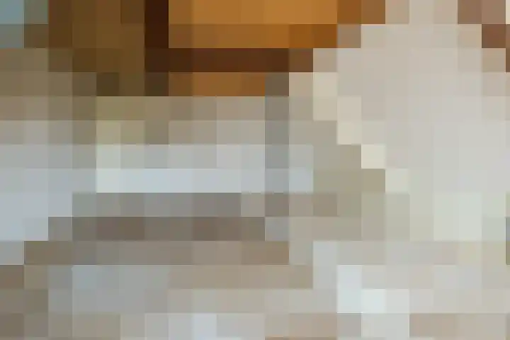 Lupine 6 Eersel thumbnail 16