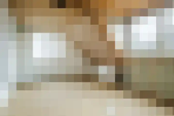 Lupine 6 Eersel thumbnail 17