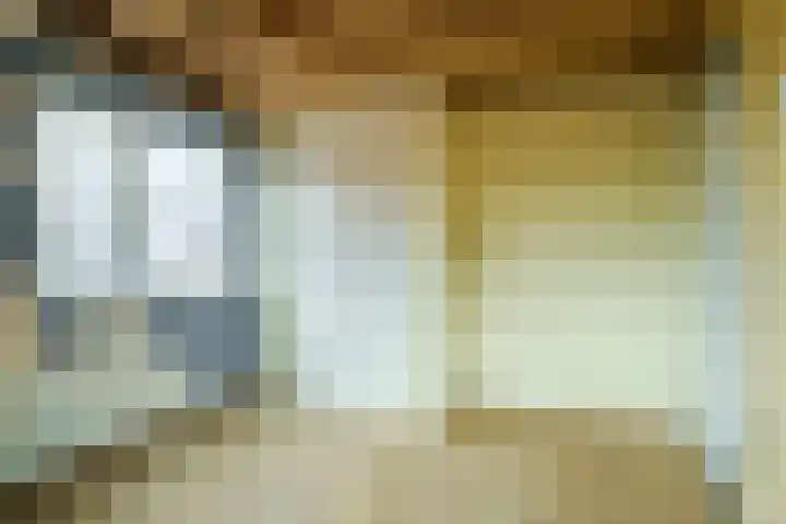 Lupine 6 Eersel thumbnail 23