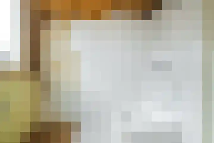 Lupine 6 Eersel thumbnail 25