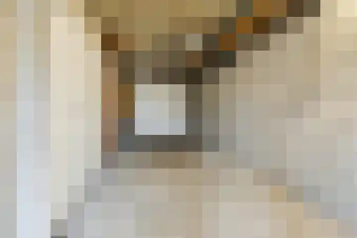 Lupine 6 Eersel thumbnail 28