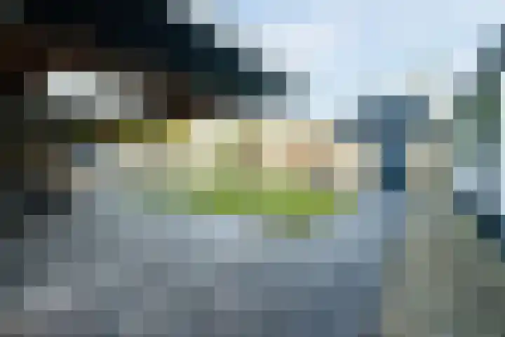 Lupine 6 Eersel thumbnail 31