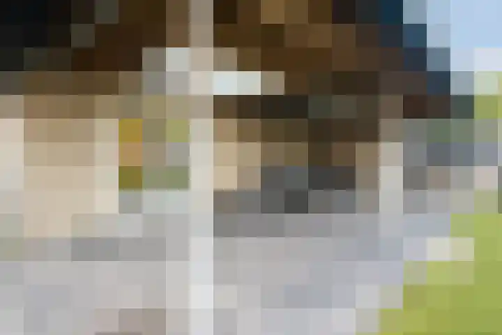 Lupine 6 Eersel thumbnail 32