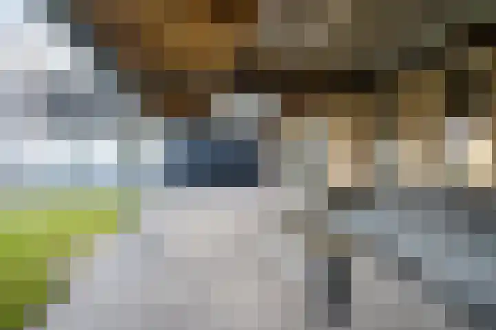 Lupine 6 Eersel thumbnail 33