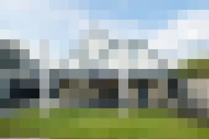 Lupine 6 Eersel thumbnail 35