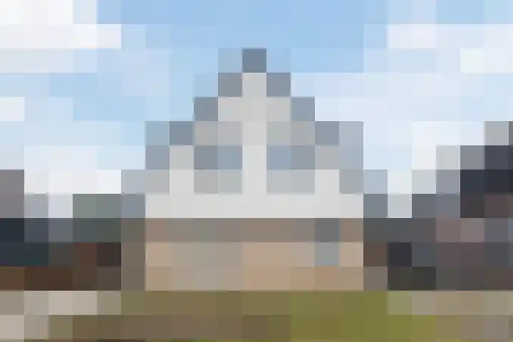 Lupine 6 Eersel thumbnail 4