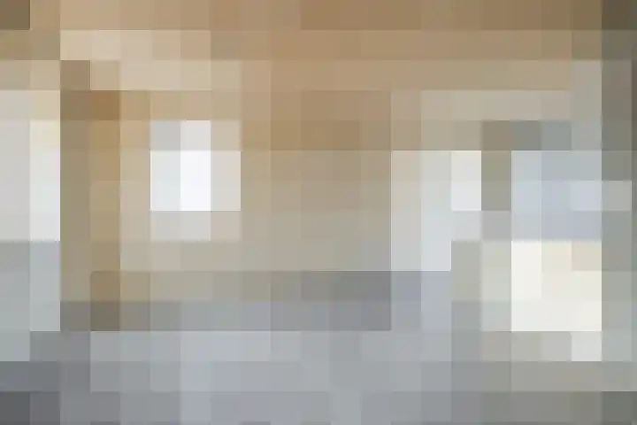 Lupine 6 Eersel thumbnail 8