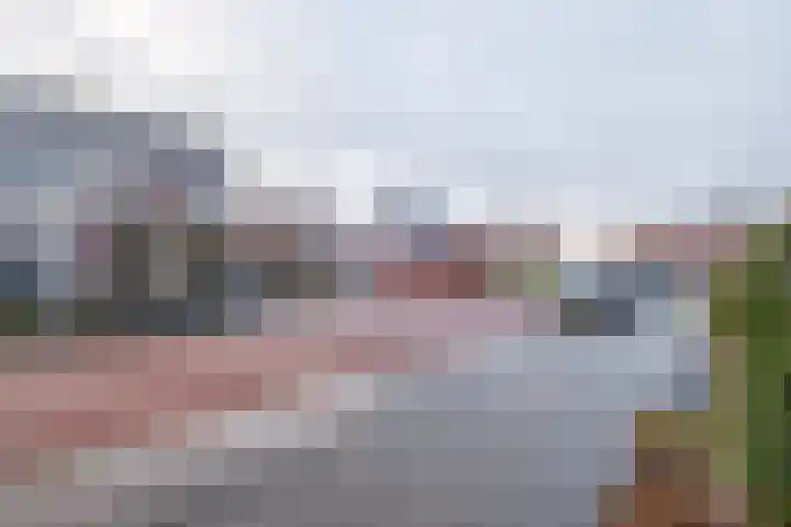 Lus 95 Genemuiden thumbnail 43