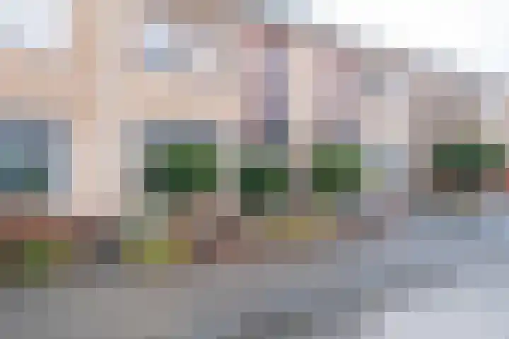 Lus 95 Genemuiden thumbnail 48