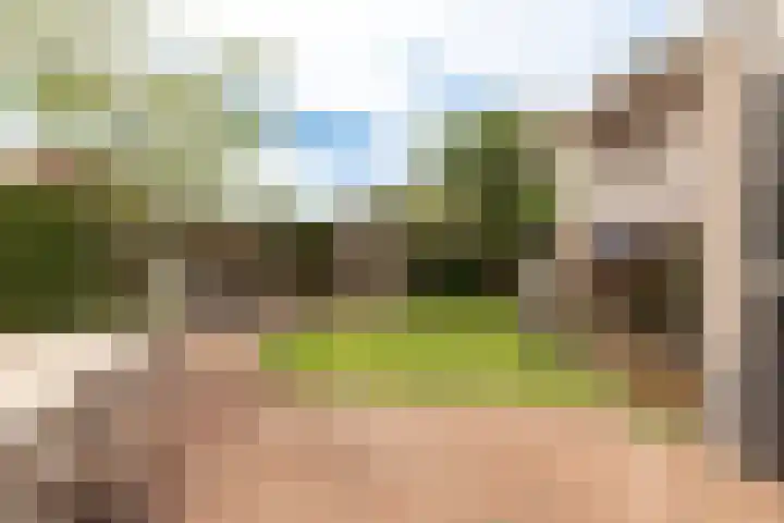 Luthulisingel 40 Culemborg thumbnail 20