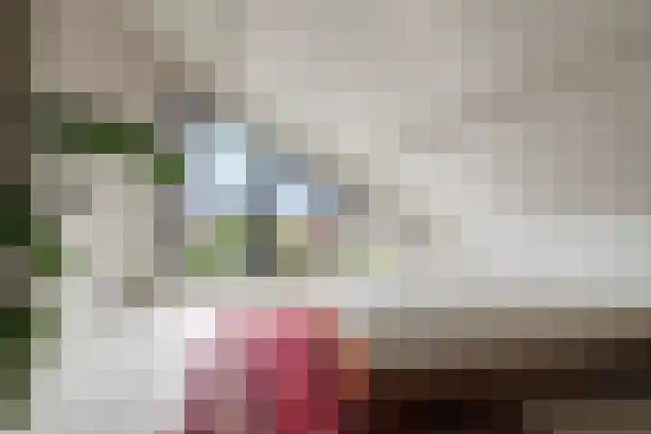 Luthulisingel 40 Culemborg thumbnail 36