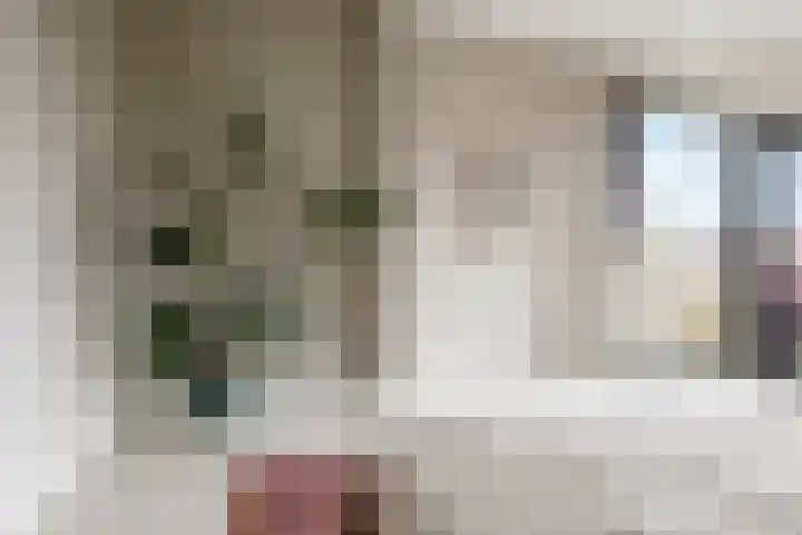 Luthulisingel 40 Culemborg thumbnail 37