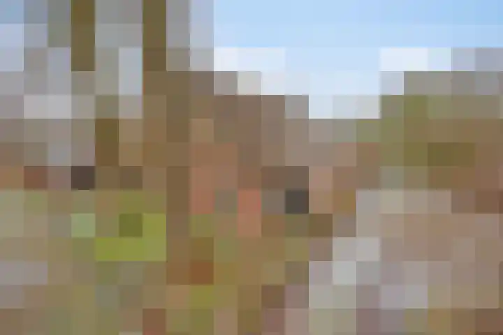 Lutkenend 9 Gasselte thumbnail 10