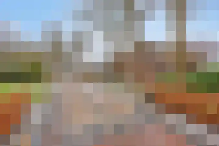 Lutkenend 9 Gasselte thumbnail 11