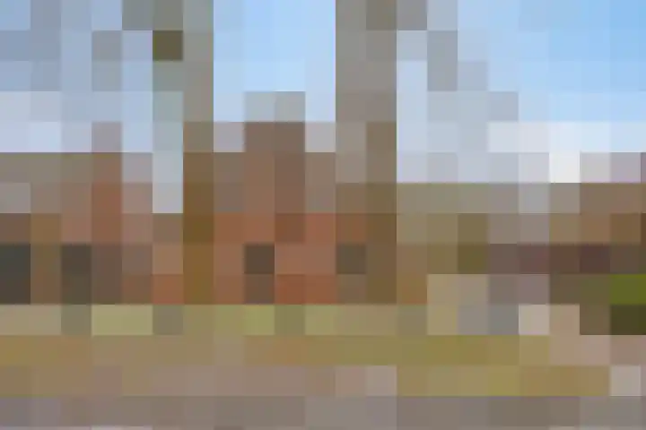 Lutkenend 9 Gasselte thumbnail 12