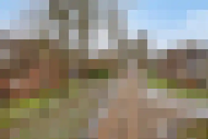 Lutkenend 9 Gasselte thumbnail 14
