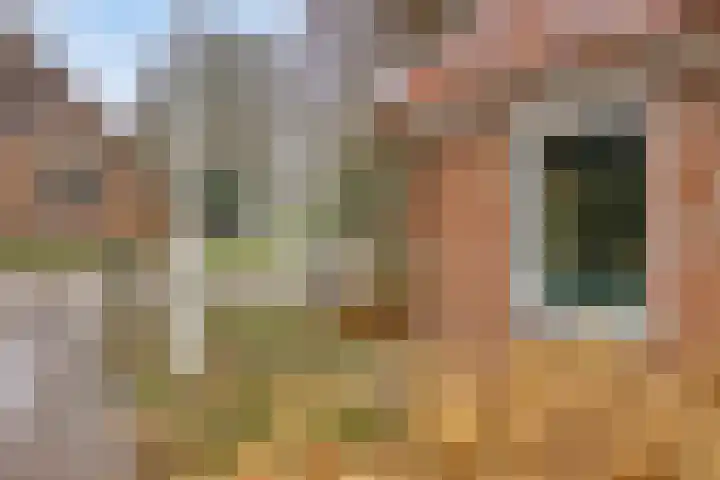 Lutkenend 9 Gasselte thumbnail 17