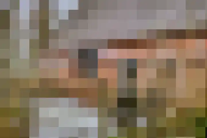 Lutkenend 9 Gasselte thumbnail 21