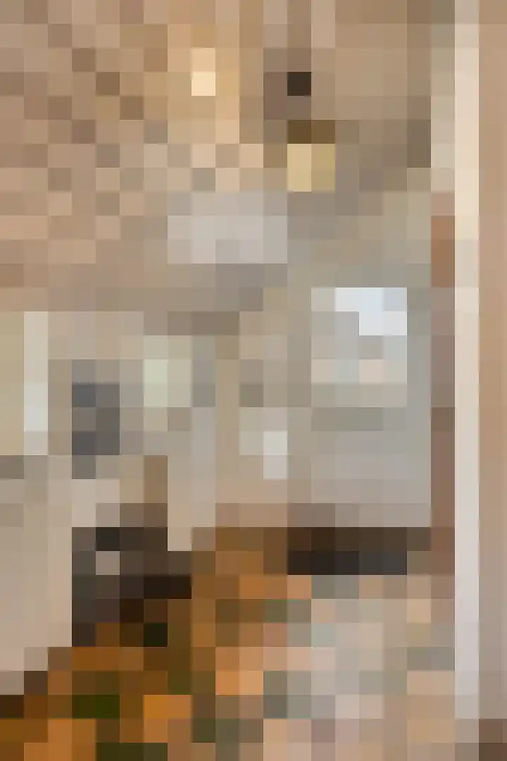 Lutkenend 9 Gasselte thumbnail 22