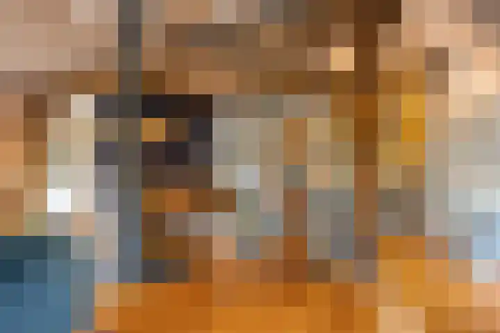 Lutkenend 9 Gasselte thumbnail 38