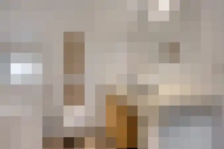 Lutkenend 9 Gasselte thumbnail 52