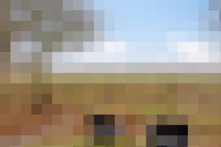 Lutkenend 9 Gasselte thumbnail 69