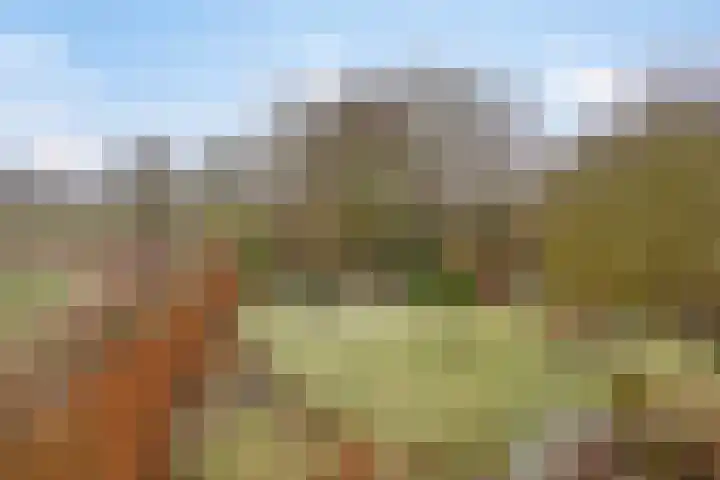 Lutkenend 9 Gasselte thumbnail 7