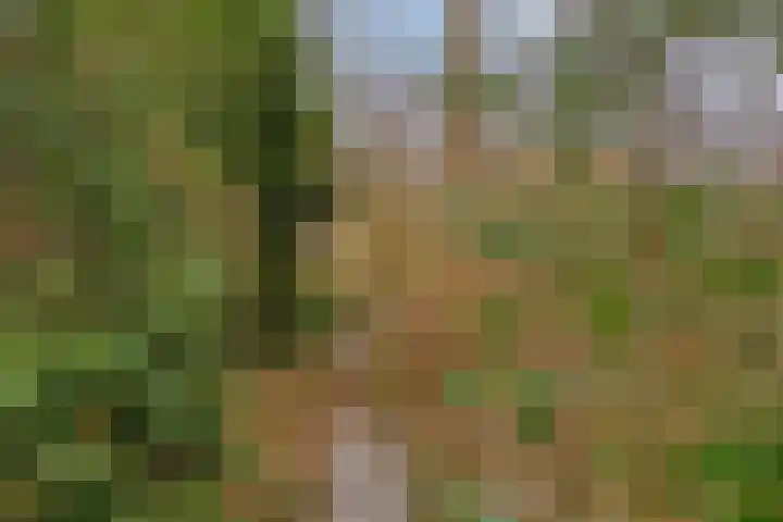 Lutkenend 9 Gasselte thumbnail 71