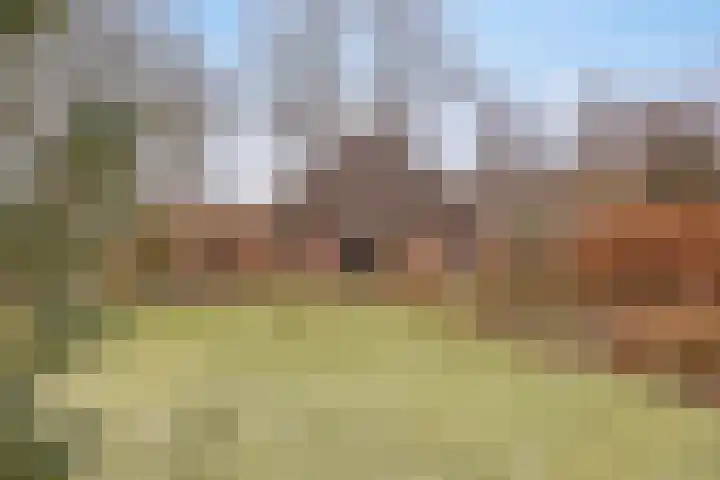 Lutkenend 9 Gasselte thumbnail 72